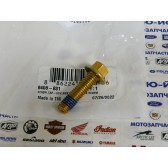 SCREW,CAP-HFH M8X1.25X30 CL8.8 W/2353